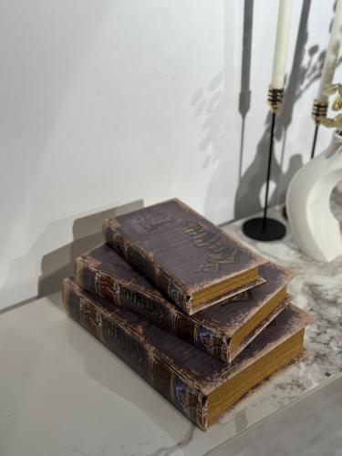 مجموعة كتب ديكور مع مساحة تخزين