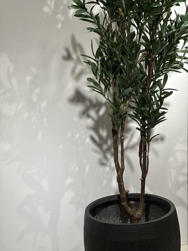 شجرة الزيتون الصناعية ارتفاع 210سم