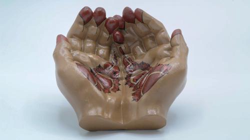 Dark-skinned hand (henna design 1)