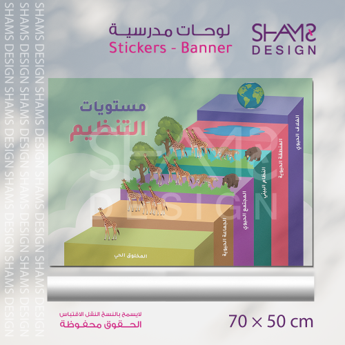 لوحة مستويات التنظيم