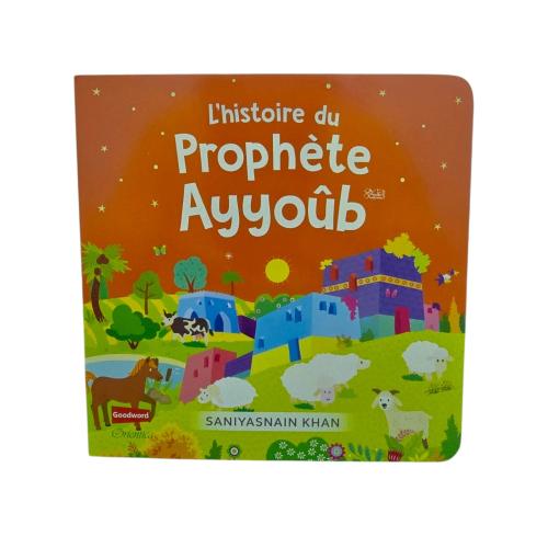l'histoire du prophete Ayyub 16×16 - french قصه سي...