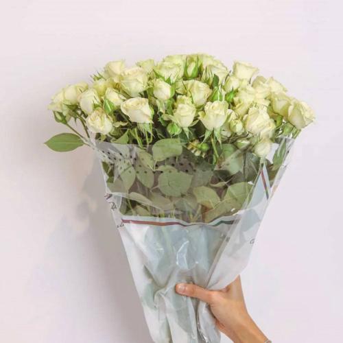 حزمة بيبي جوري ابيض