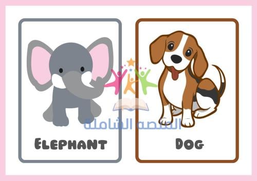 ملزمة الحيوانات بالإنجليزية PDF