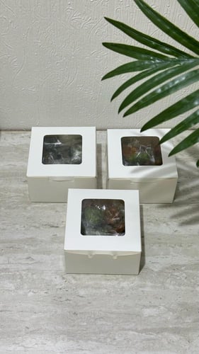 بوكس بخور مستكة