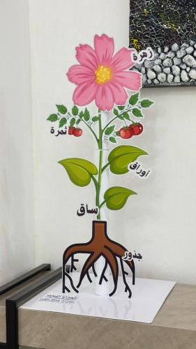 مجسمات فلين ولوحات