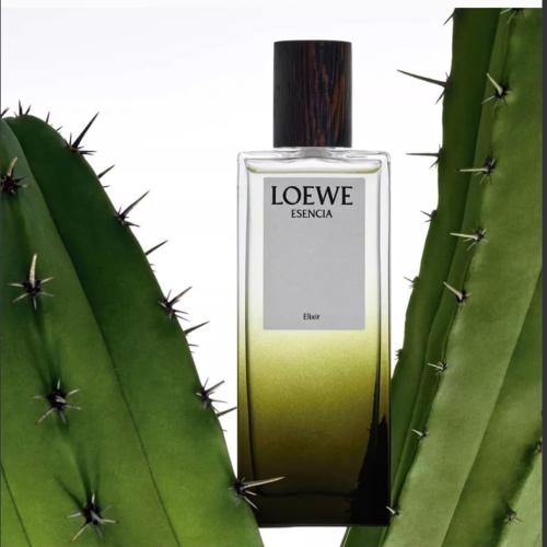 عطر لويفي ماء عطر اسينسيا إلكسير، 100 ملل