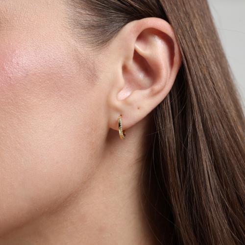 Golden Class Earrings