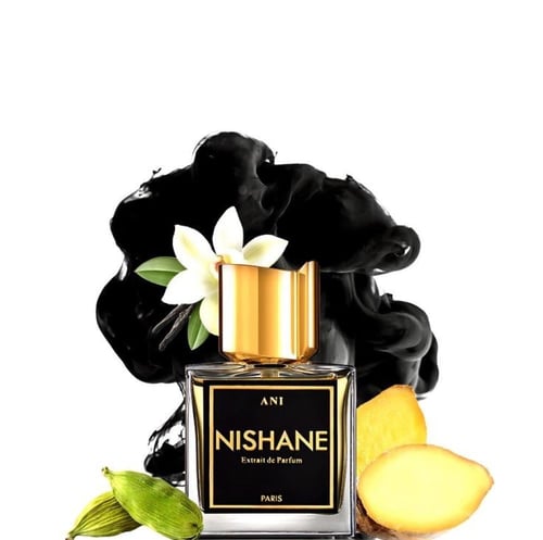 عطر نيشاني أني إكستريت دو بارفيوم للجنسين | إكستري...