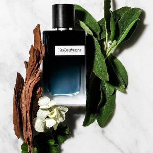 عطر اف سان لوران واي انتنس للرجال | او دو برفيوم ا...