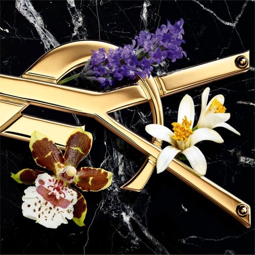 عطر اف سان لوران ليبر انتنس للنساء | او دو برفيوم...