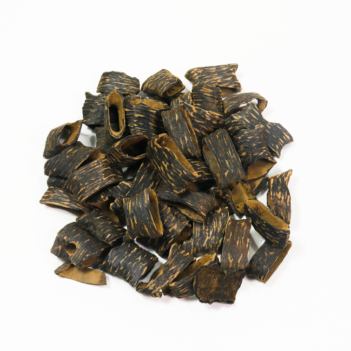 عود قواقع