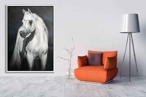 لوحة النايفة لوحة خيل عربي أبيض .
