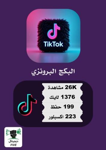 البكج البرونزي تيك توك