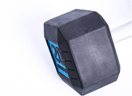 مجموعة دامبل عالية الجودة من المطاط من لايف برو LP...