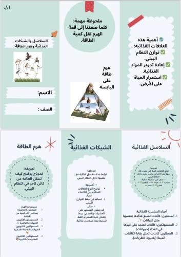 مطوية السلاسل والشبكات الغذائية وهرم الطاقة الصف ا...