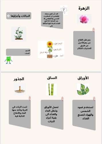 مطوية اجزاء النبات