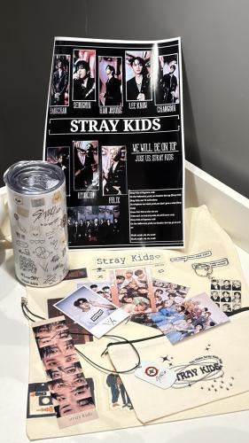 بوكس ستراي كيدز stray kids