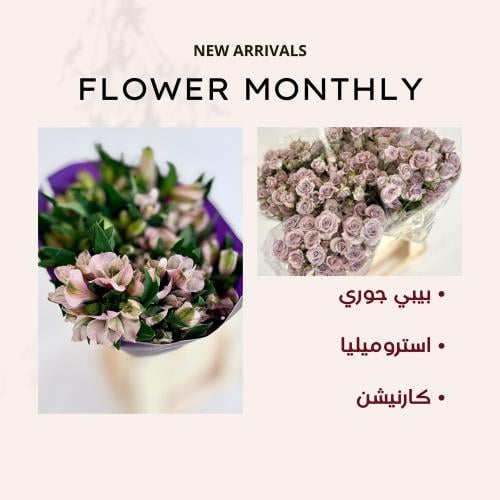 الاشتراك الشهري - الباقة الثانية