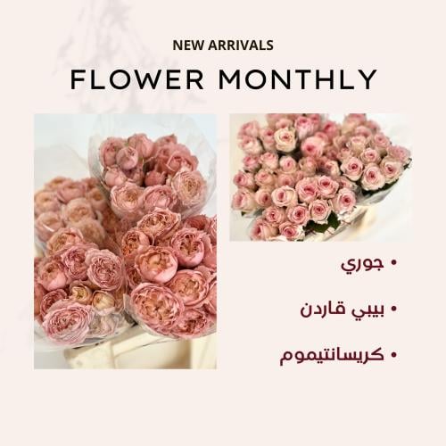 الاشتراك الشهري - الباقة الأولى