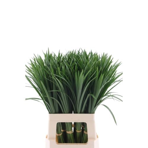 Green accessories - bunch
