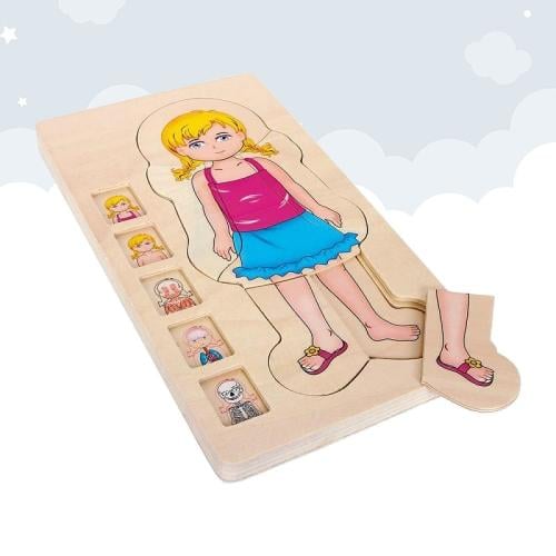 لوحة تطابق جسم البنات 4 طبقات