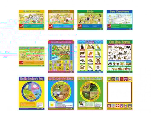 لوحات تعليمية الحيوانات ودورات الحياة - انجليزي من...