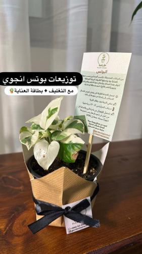 مقاس 6 سم توزيعات مع تغليف
