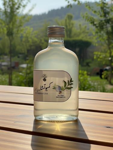 كمبوتشا سادة (خام)