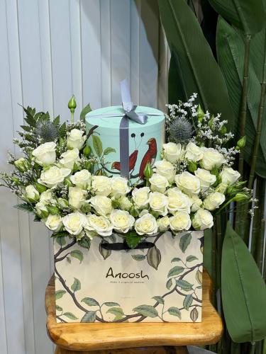 باقة صفاء الربيع