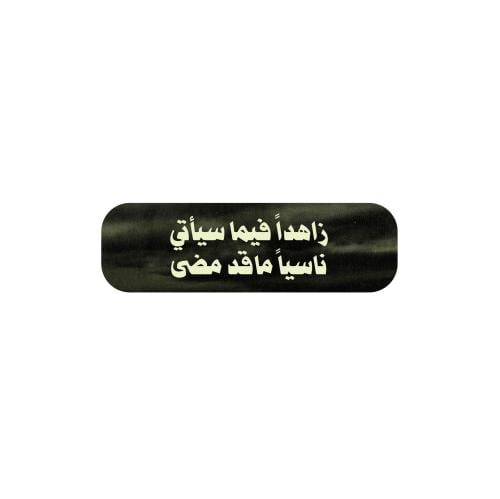 زاهدا فيما سيأتي ناسيا ما قد مضى