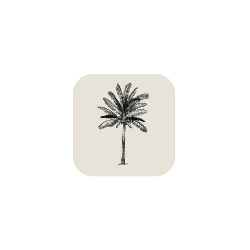 Palm