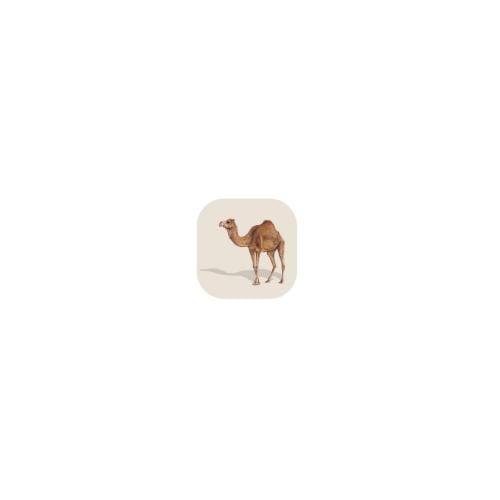 Camel