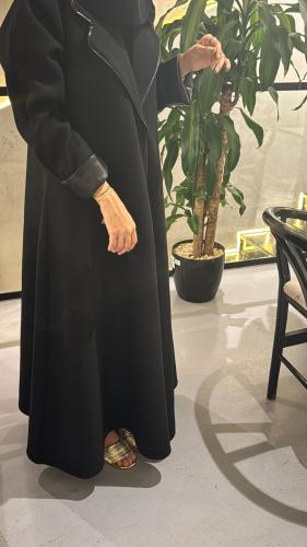 الديم