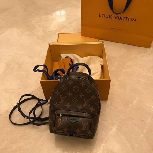 LV Palm Springs Backpack Mini Brown Canvas