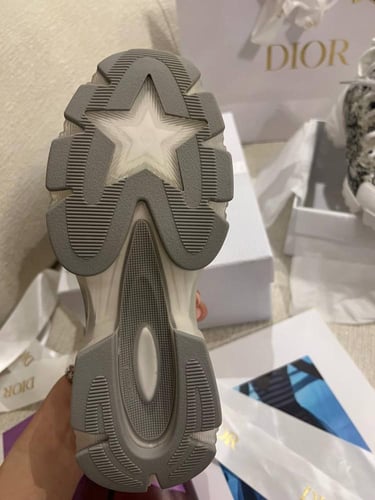 Dior sneakers