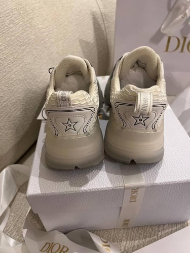 Dior sneakers