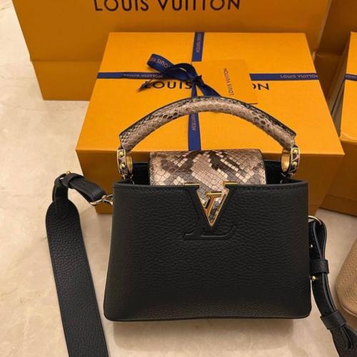 LV Capucine Small Handbag