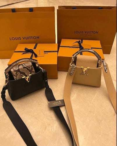 LV Capucine Small Handbag