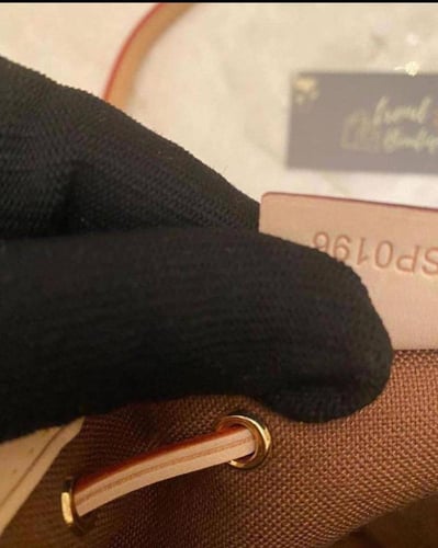 LV Brown Monogram Nano Noé Bag