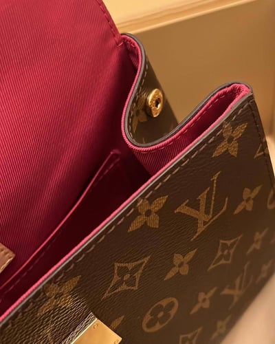 LV Clooney Monogram Canvas Bag
