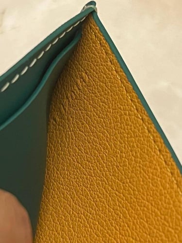 Goyard wallet - green