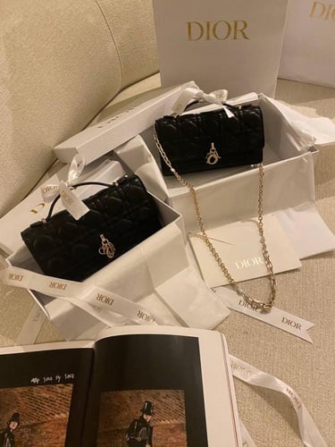Dior small Bag