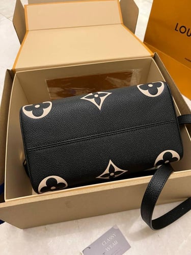 LV Riverside Damier Ebene LV Handbag