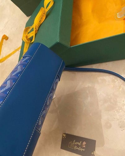 Goyard soft mini Saigon bag - blue