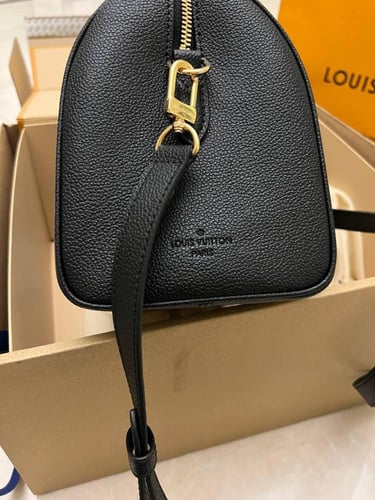 LV Riverside Damier Ebene LV Handbag