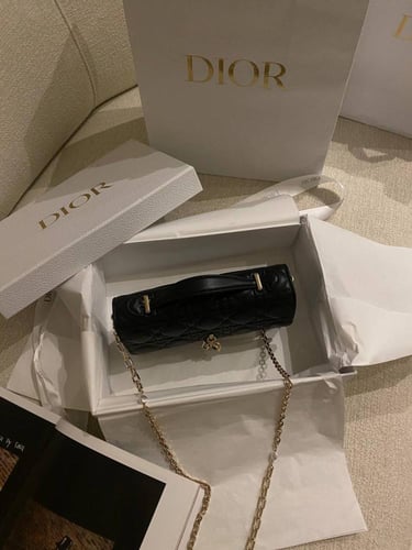 Dior small Bag