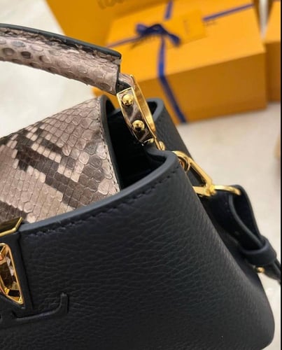 LV Capucine Small Handbag