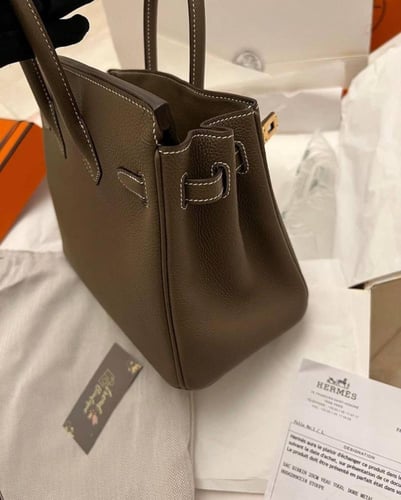 Hermes Eucalyptus Togo Leather Birkin 25 Bag