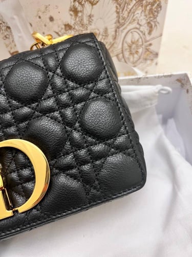 Dior Large Caro Bag small