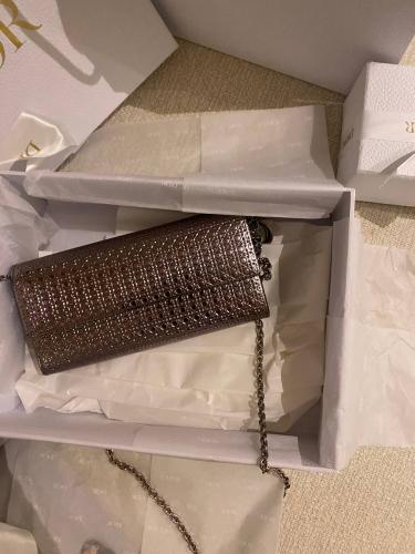 Dior Elegant Evening Clutch – Metallic Silver